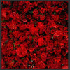 Backdrop - Image 23