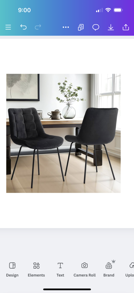 Black Velvet Accent Chairs (Set of 2)