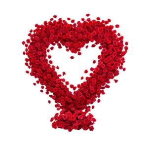 Heart Shaped Red Rose Arch
